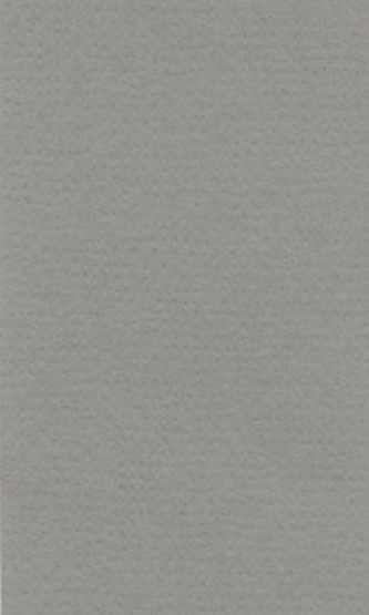 Barevný papír Lana 70x100cm - 28 cool grey