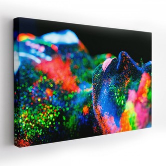 Obraz na plátně COLORS 120x80 cm Mybesthome Obraz na plátně COLORS 120x80 cm Mybesthome