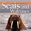 Exploring the World of Seals and Walruses