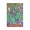 Paperblanks 18-Monatskalender 2023 Van Goghs Schwertlilien Mini Horizontal. 01. Juli 2022 bis 31. Dezember 2023