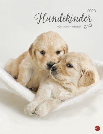 Hundekinder Posterkalender 2023