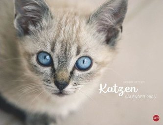 Katzenkalender 2023