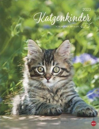 Katzenkinder Posterkalender 2023