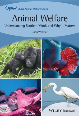 Animal Welfare: Understanding Sentient Minds and W hy It Matters