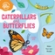 Caterpillars and Butterflies