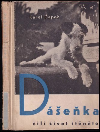 Dášeňka, čili život štěněte