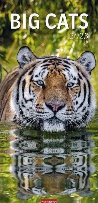 Big Cats Kalender 2023