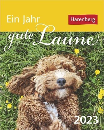 Ein Jahr gute Laune Mini-Geschenkkalender 2023