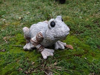 Žába dřevěný design menší