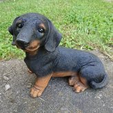 Jezevčík polyston sedící