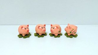 Prasátko na čtyřlístku