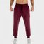 Tepláky Lab 360 Joggers Tawny Port - SQUATWOLF - Velikost: XL