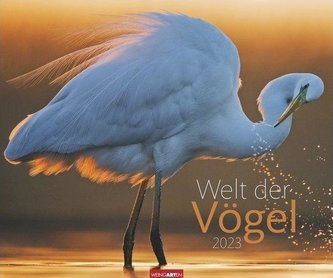 Welt der Vögel Kalender 2023