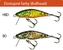 Rybářské woblery BULLHEAD BD4F barva HBD