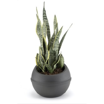 BAMA Květináč SFERA 23L