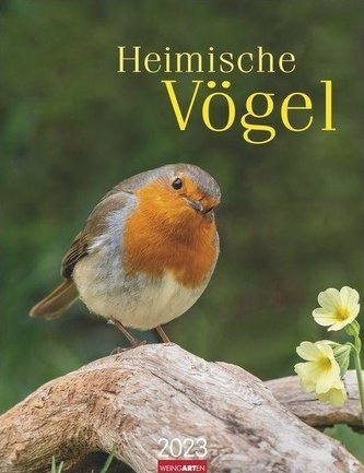 Heimische Vögel Kalender 2023