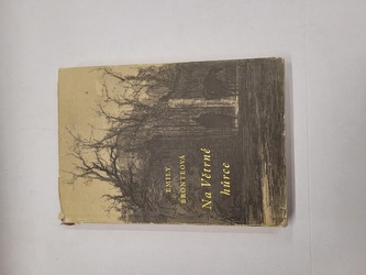 Na větrné hůrce Na větrné hůrce