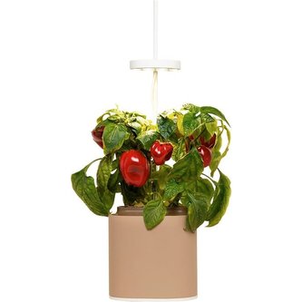 Pret a Pousser Nano, sand grey