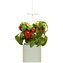 Pret a Pousser Nano, celadon green