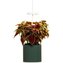 Pret a Pousser Nano, forest green