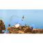 Worms W.M.D (Xbox One)