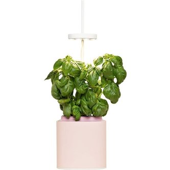 Pret a Pousser Nano, quartz pink