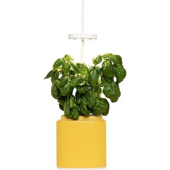 Pret a Pousser Nano, mimosa yellow