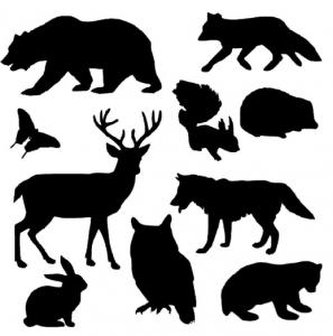 Zvířata - plastová šablona 038 Rozměr: B 14,5x14,5cm Zvířata - plastová šablona 038 Rozměr: B 14,5x14,5cm