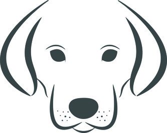 ARTEMISS Psí hlava - plastová šablona 336 Rozměr: D 29x29cm ARTEMISS Psí hlava - plastová šablona 336 Rozměr: D 29x29cm