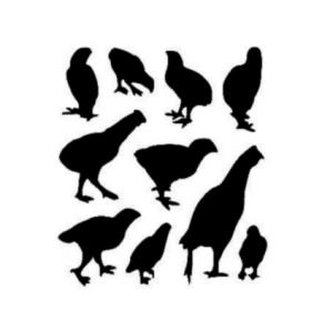 Ptactvo - plastová šablona 152 Rozměr: D 29x29cm Ptactvo - plastová šablona 152 Rozměr: D 29x29cm