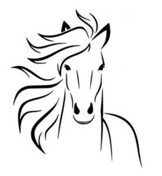 Hlava koně - plastová šablona 003 Rozměr: B 14,5x14,5cm Hlava koně - plastová šablona 003 Rozměr: B 14,5x14,5cm