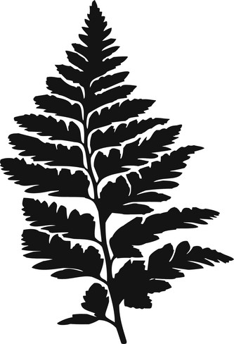 Kapradina list - plastová šablona 287 Rozměr: E 29x29cm Kapradina list - plastová šablona 287 Rozměr: E 29x29cm