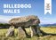 Billedbog Wales