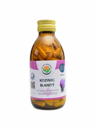 Salvia paradise - Kozinec blanitý 120 kapslí  Astragalus membranaceus