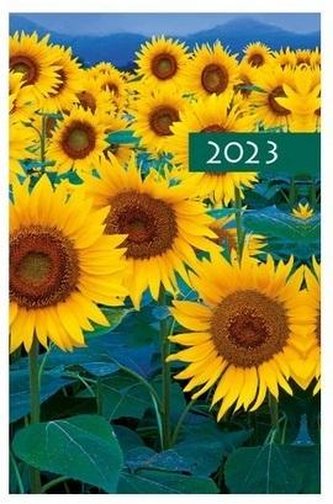 Terminarz 2023 B7 Kolorowy kwiaty