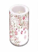 Lampion butterflies garden