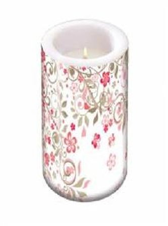 Lampion butterflies garden