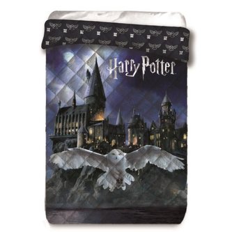 PŘEHOZ PŘES POSTEL - DEKA HARRY POTTER
