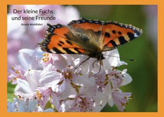 Der kleine Fuchs und seine Freunde