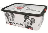 ÚLOŽNÝ BOX MICKEY