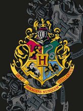 XL FLÍSOVÁ DEKA HARRY POTTER