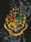 XL FLÍSOVÁ DEKA HARRY POTTER