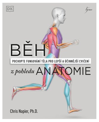 Běh z pohledu anatomie - Správná technika, prevence před zraněním, nastavení tréninku