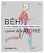 Běh z pohledu anatomie - Správná technika, prevence před zraněním, nastavení tréninku