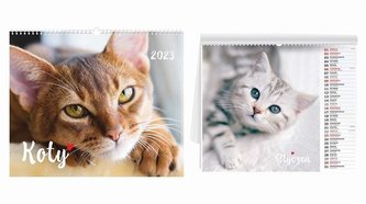 Kalendarz 2023 ścienny Koty