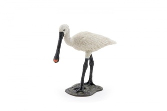 Kolpík bílý pták Kolpík bílý pták