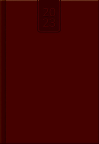 Denní diář A5 cz/sk Nebraska brown