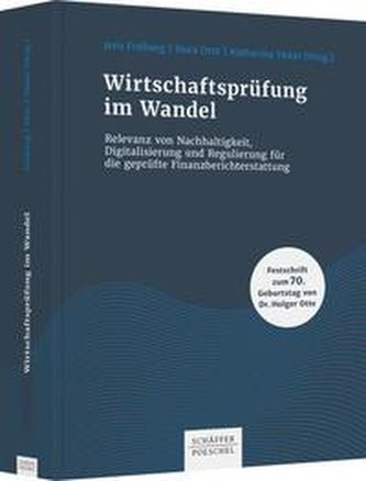Wirtschaftsprüfung im Wandel