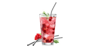 TESCOMA Nerezové slámky myDRINK 4 ks, s čisticím kartáčkem