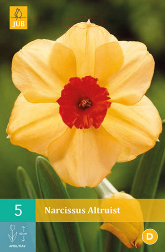 Karta - Narcis - Altruist (5 cibulí) "C"